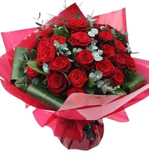 24 Red Roses