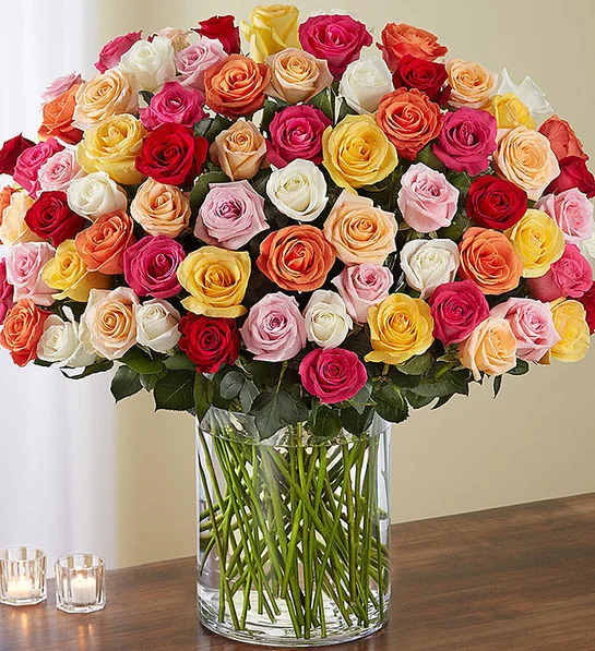 Colorful Roses